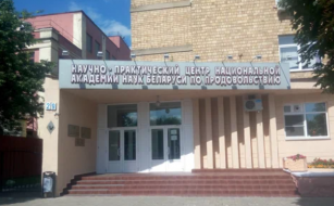 Сотрудники НИИХП приняли участие в XХI Международной научно-практической конференции «Инновационные технологии в пищевой промышленности»