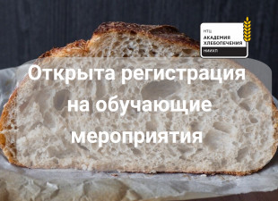 Сформирован график обучения до конца 2024 года