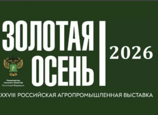 Золотая осень об актуальном: продовольственная безопасность